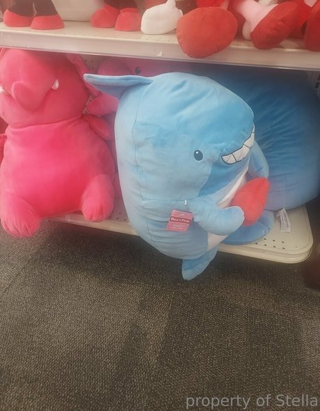 stellaaeternum model hot pictures