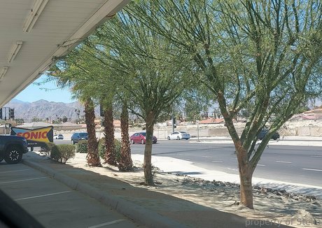 stellaaeternum model best archive