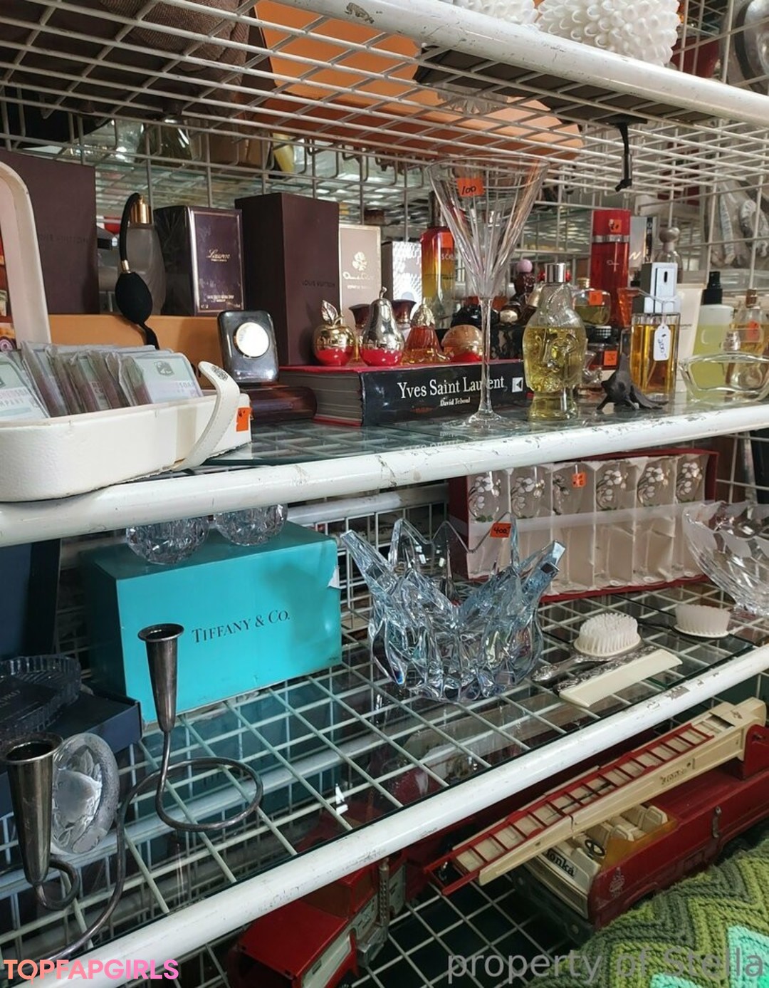 stellaaeternum star hd galleries