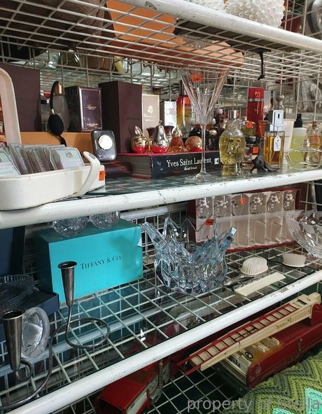 stellaaeternum star hd galleries