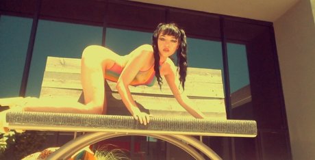 stellaaeternum model galleries