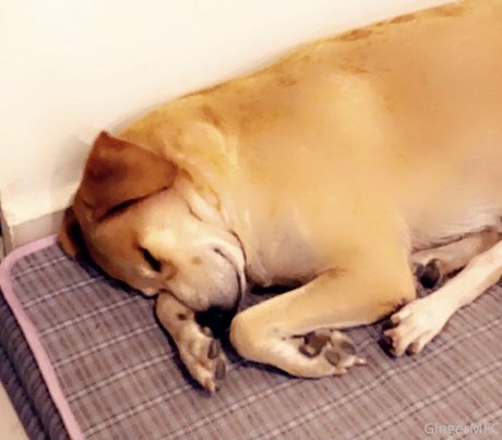 gingermfc sex actress galleries