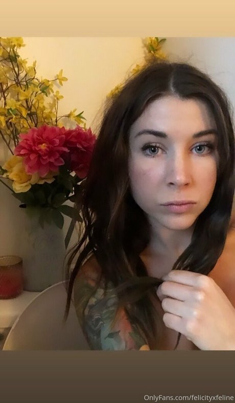 felicityfeline pornstar perfect picture