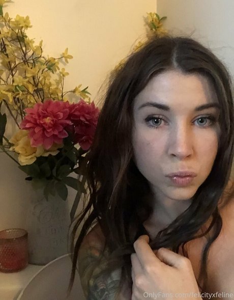 felicityfeline erotic pornstar gallery