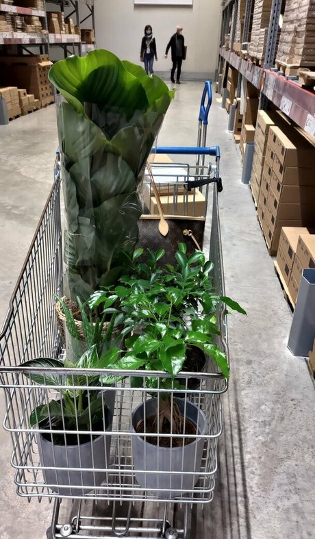 taylorburton model free pic