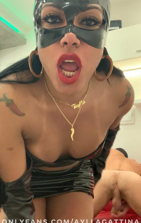 ayllagatina free model archive