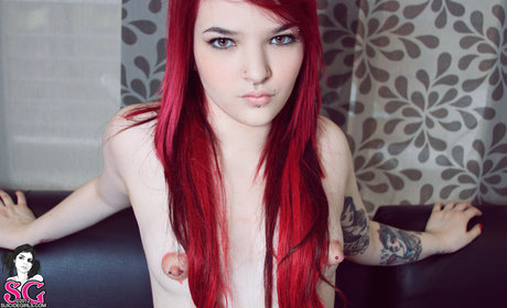 Nina Gato sexy pornstar gallery