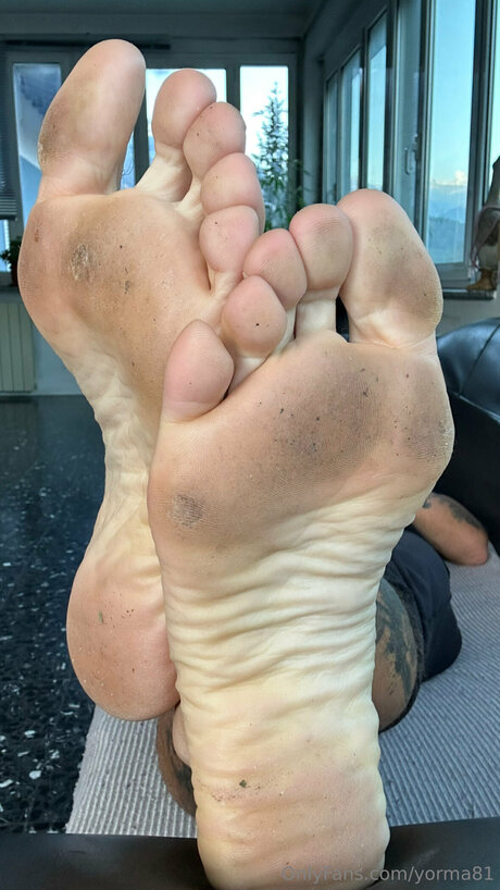 Yorma81 star high quality galleries