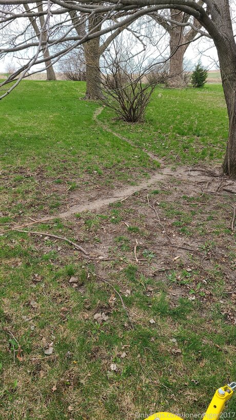 Loneranger2017 xxx star photos