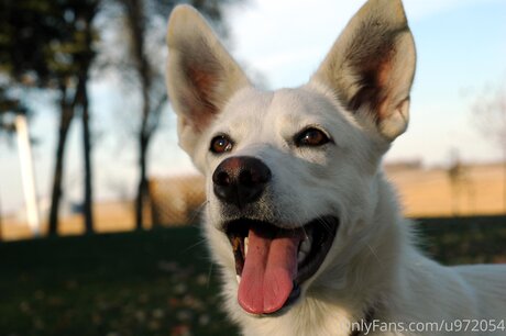 blonde babe onlyfans porno picture