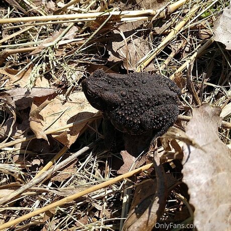 Loneranger2017 sex pornstar pic