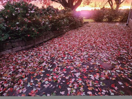 Loneranger2017 star pics