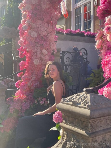 Sia Light high quality model archive