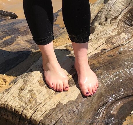 Fernsfeet31 top star gallery