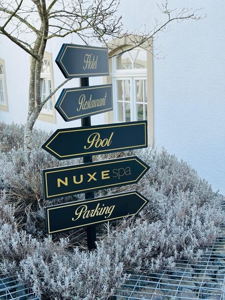 money onlyfans best photos