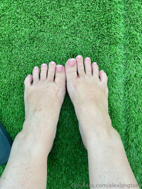 Alexlongtoes nice pornstar galleries