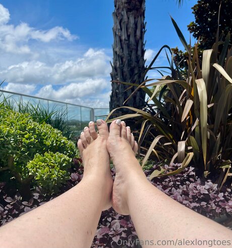 Alexlongtoes hd actress image