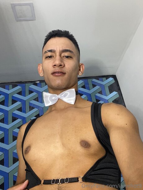 Iamrhot9 best model img