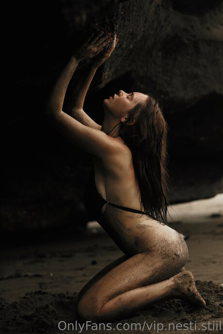 Nesty Still perfect star img