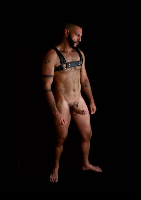 Eduleaot free model gallery