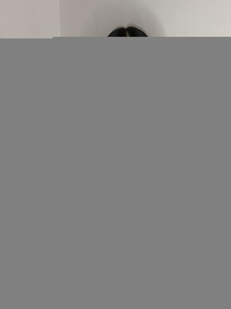 Sofiacastelli06 star porn pics