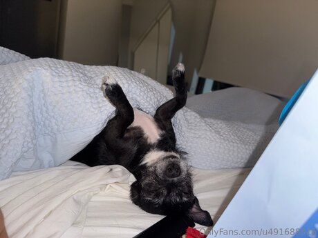 bbw gilf onlyfans xxx pics