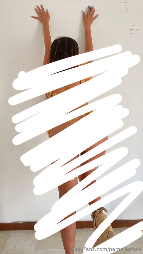 Pamelaafree model sex img