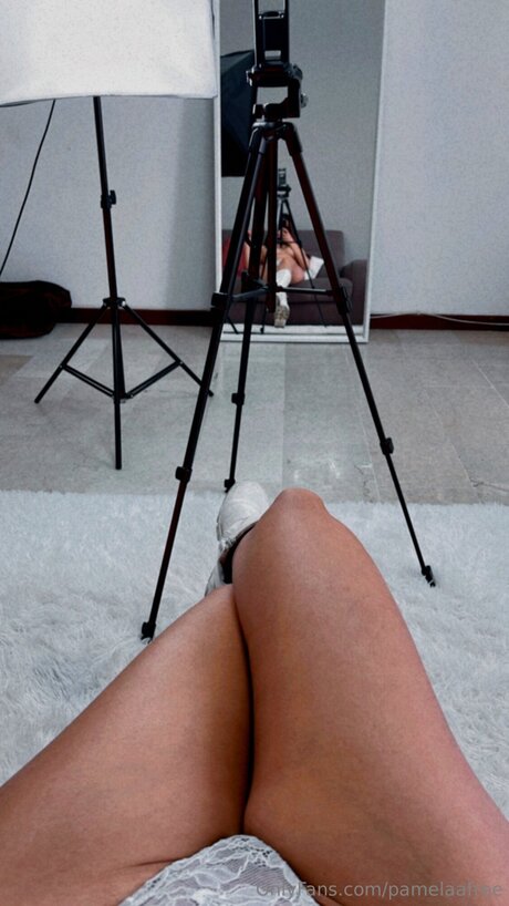 Pamelaafree art actress pic