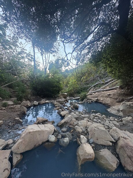 S1monpetrikov star nice archive