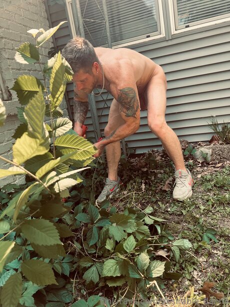 Desirable Danny beautiful actress archive