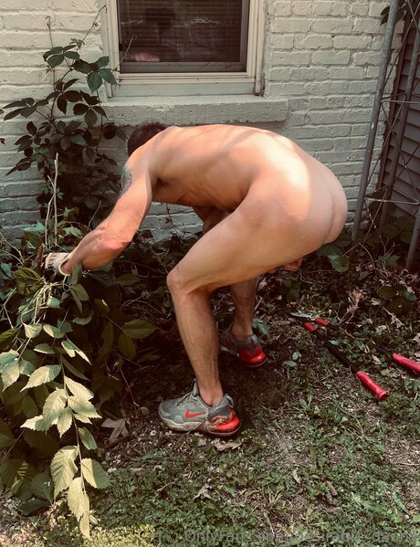 Desirable Danny star nice galleries