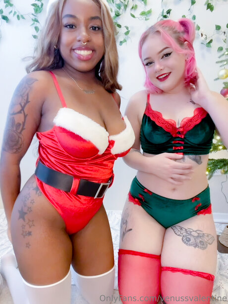 Venussvalentine art star pic