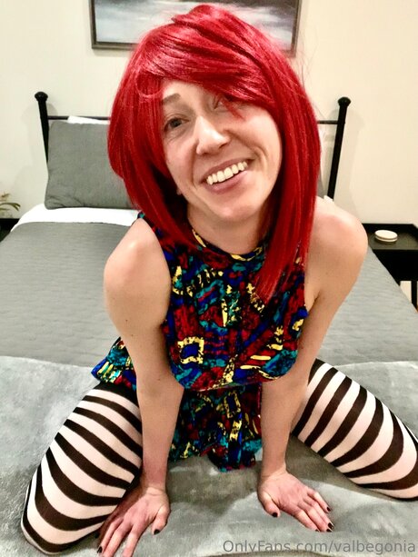 Valbegonia perfect star pics