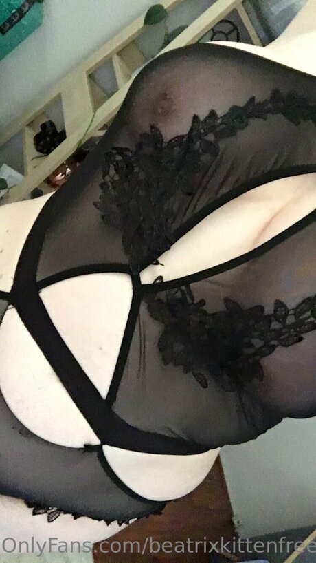 Beatrixkittenfree pornstar free archive