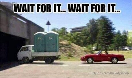 Thekatykatvip star art gallery