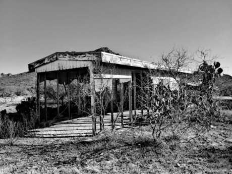 Cissaldansinferno star pretty pictures