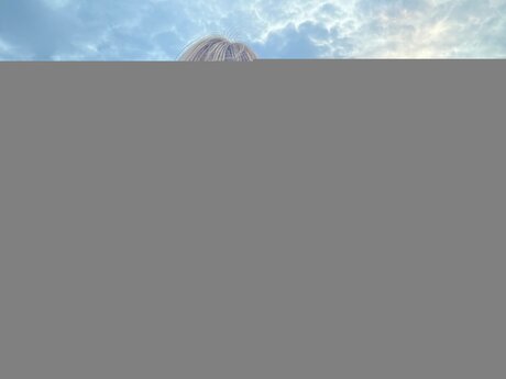 Ashley Milk free pornstar photos