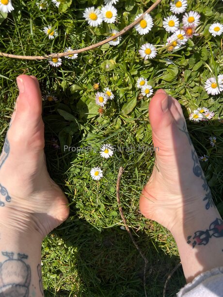 Sarahmoonsg Photo Gallery