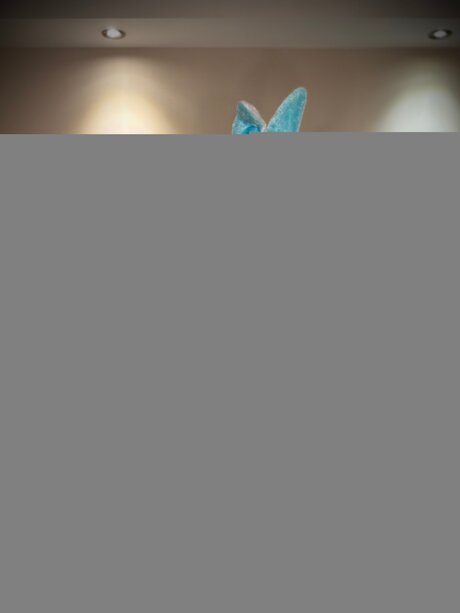 beautiful face onlyfans top img