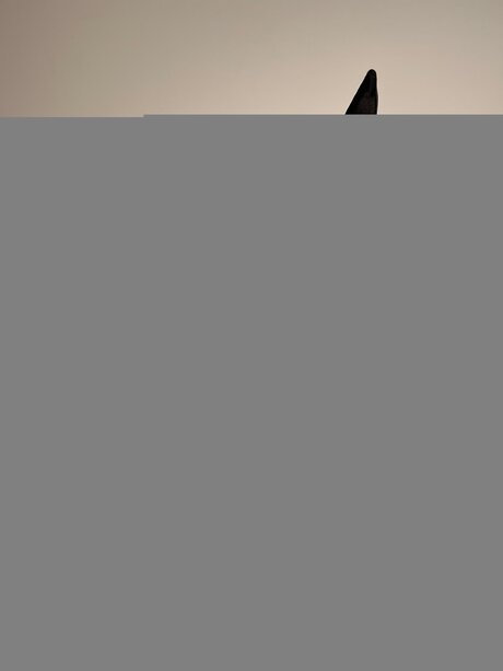 Domicute sex model photos