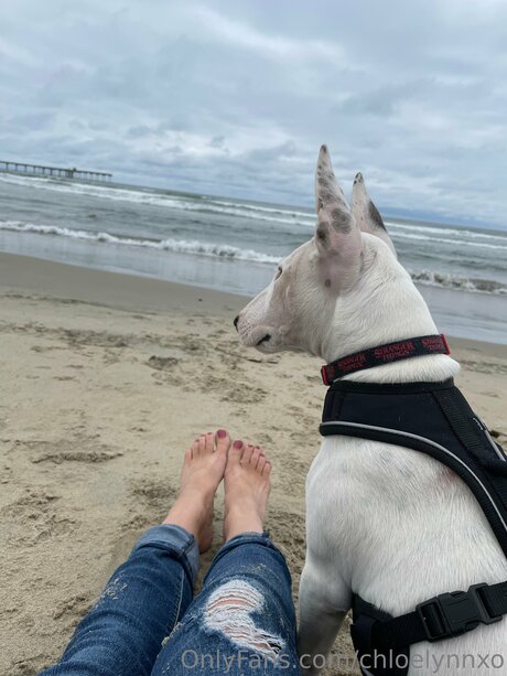 Chloelynnxo art pornstar galleries