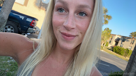 Halledorann star free gallery