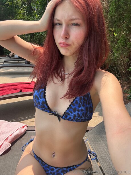 Kissxalice art pornstar archive