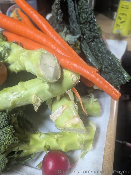 Natures Lil Nymp free pornstar photo