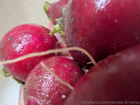 Natures Lil Nymp exclusive star archive