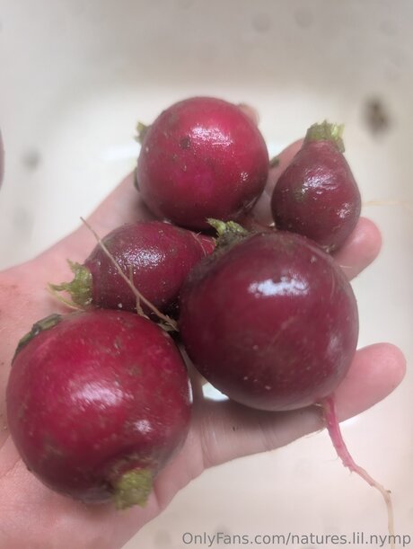 Natures Lil Nymp nudes model images