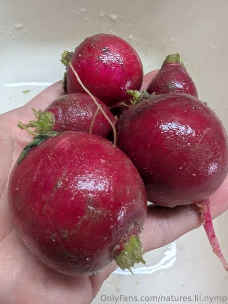 bbc ebony onlyfans hd image