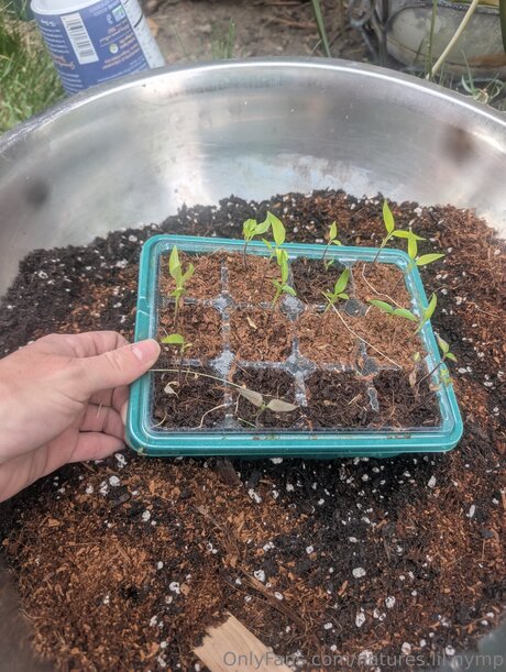 Natures Lil Nymp xxx pornstar photo