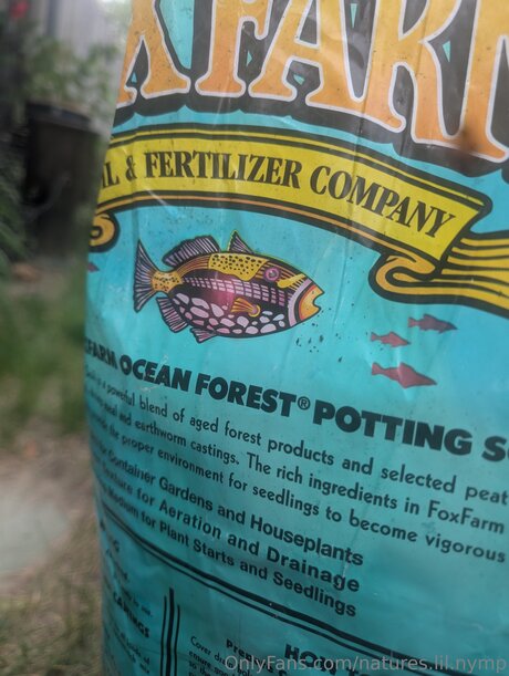 Natures Lil Nymp high quality model picture