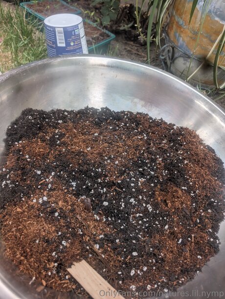 Natures Lil Nymp sex model gallery